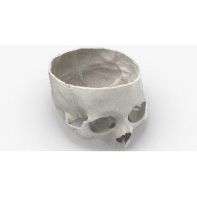Real Human Skull Cranial 02 Cut White model